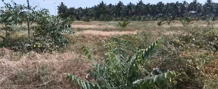 5.50 Acre Land for Sale