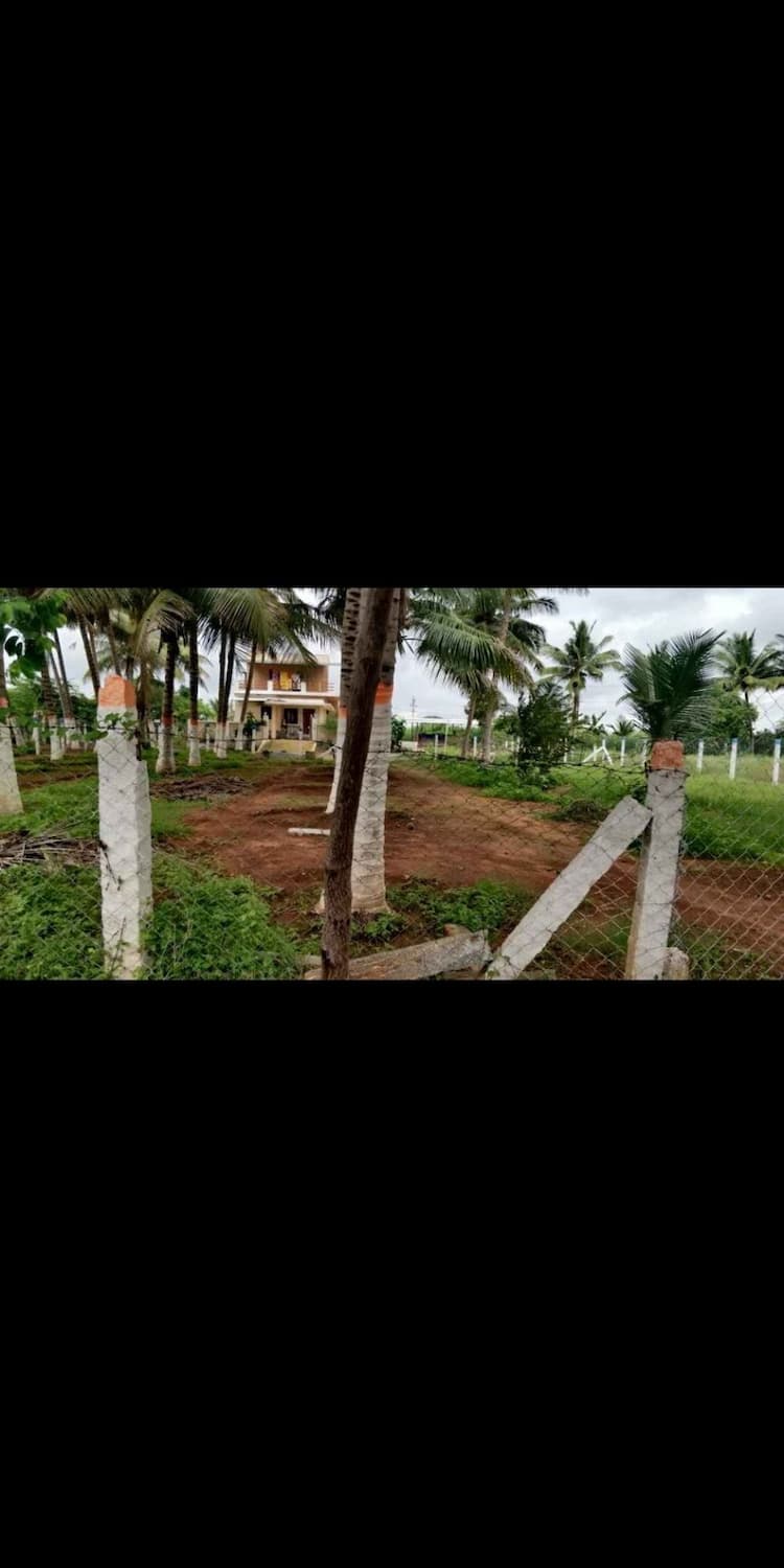 15 Cent Farm For Sale