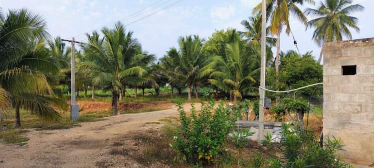 Single Property Image