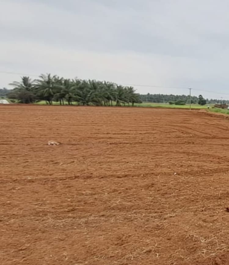 3.5 Acre Land for Sale