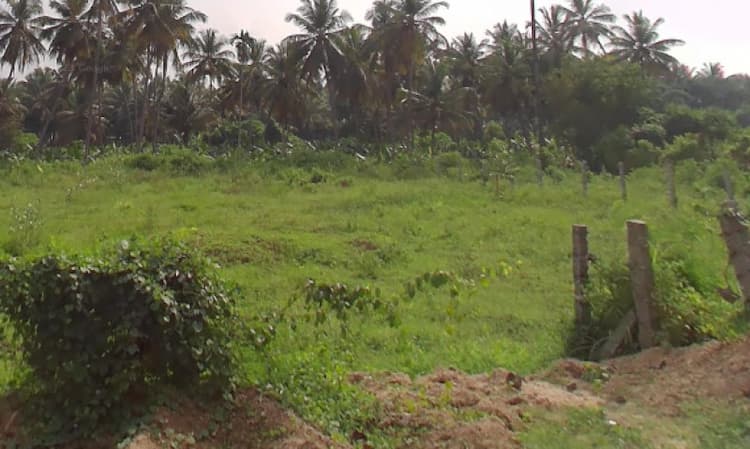 Land for sale