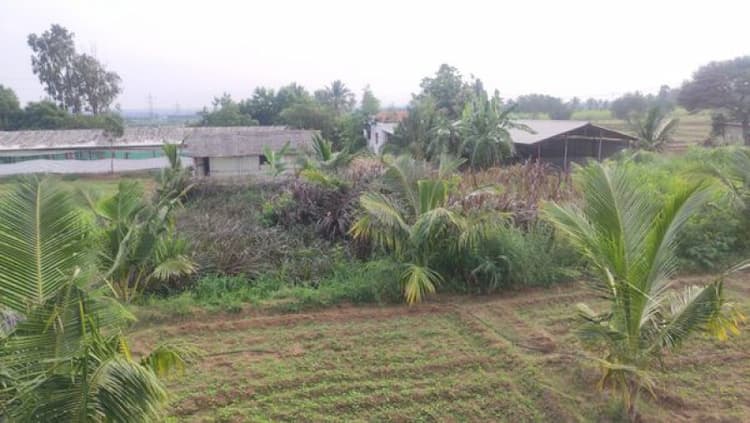 Agri Land For Sale
