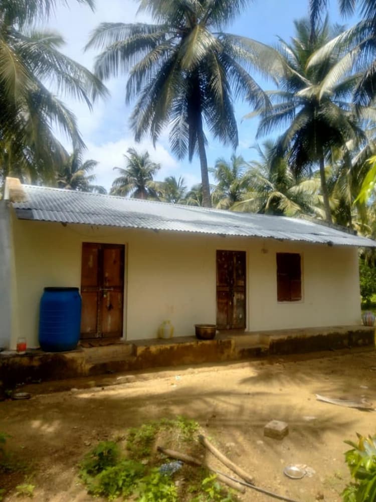 15 Acres Cocunut Farm for sale with House