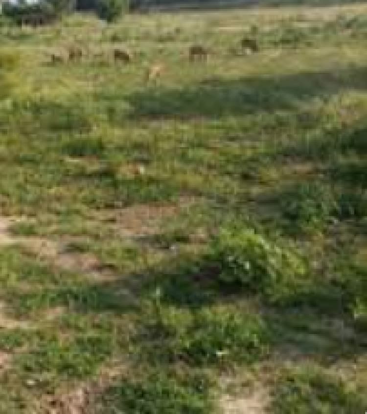 1.90 acre land for sales