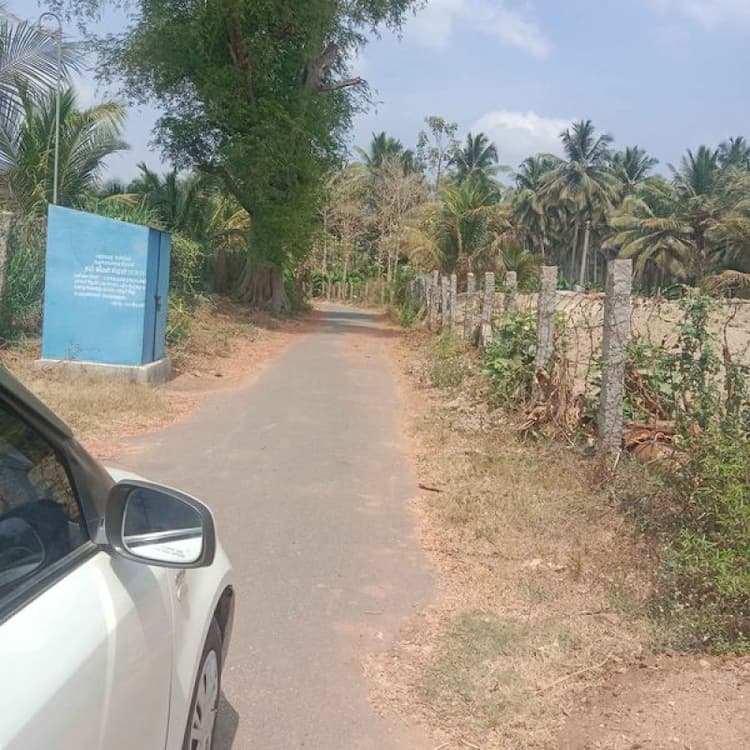 Single Property Image