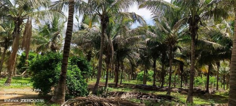 Farm with Farm House for Sale