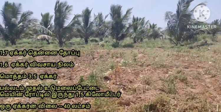 3.5 Acre Land for Sale