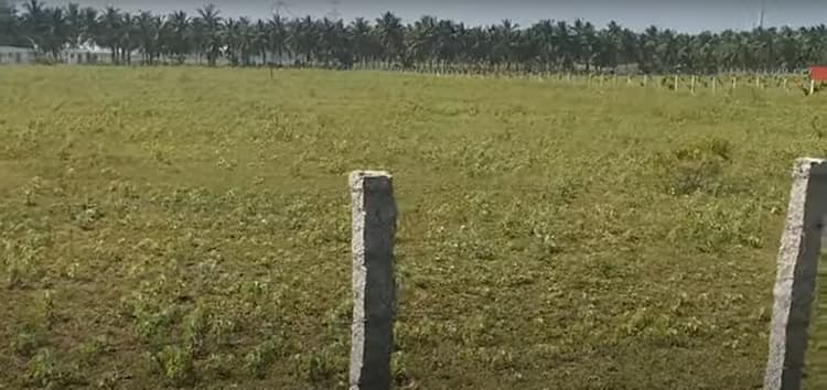 4 Acre Farm Land For Sale