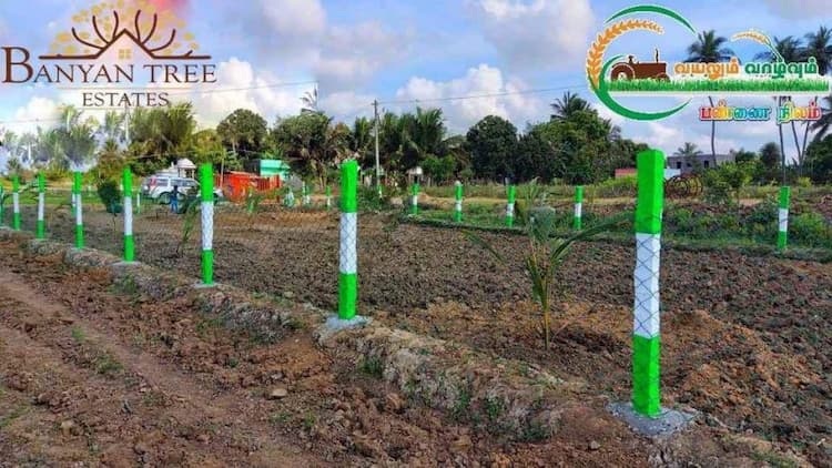 Pasumai Solai - FarmLand with Farmhouse