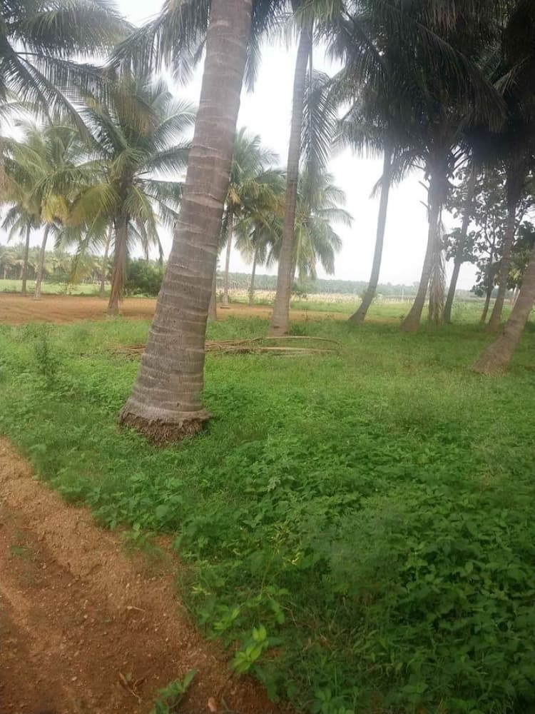 4.75 Acre Land for Sale