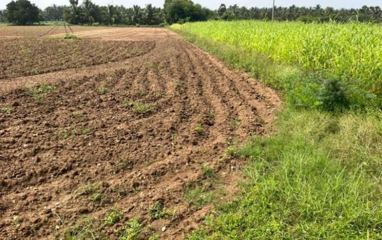 55 Cent Land with Water Facility for Sale