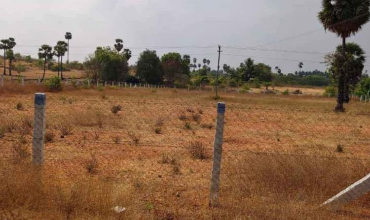 Land for sales