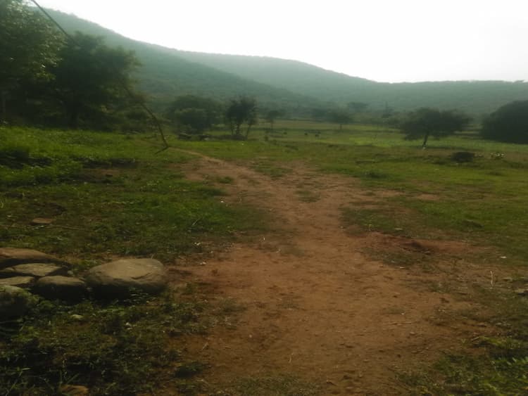 Single Property Image