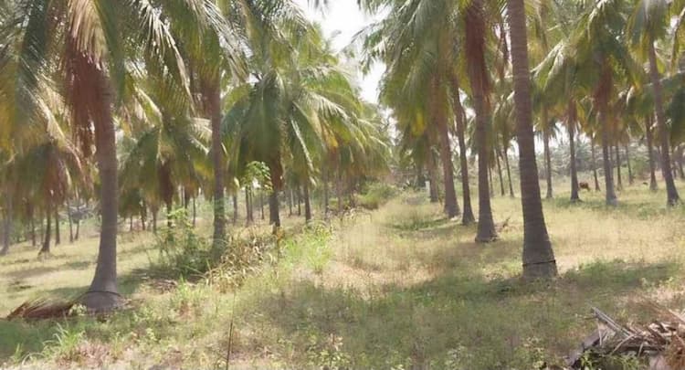 Single Property Image