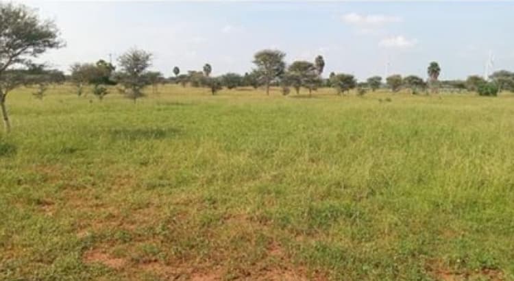 Single Property Image