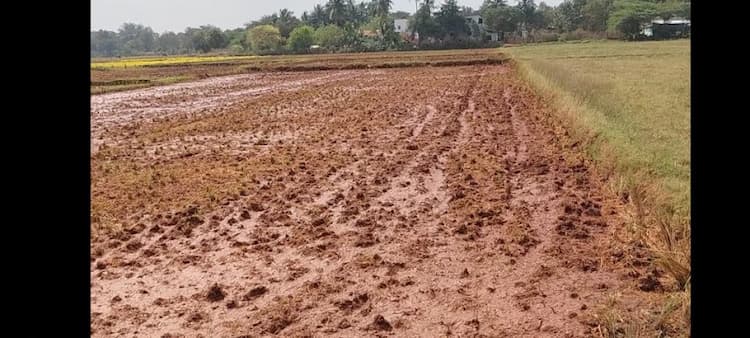 Red Soil Agric Land Sale Trichy