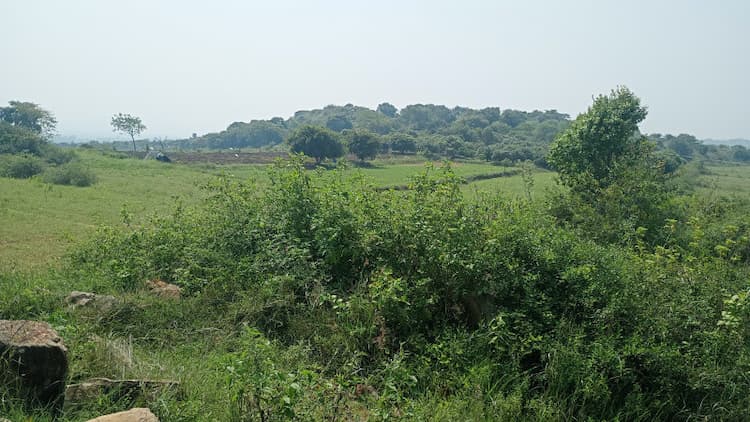 Single Property Image