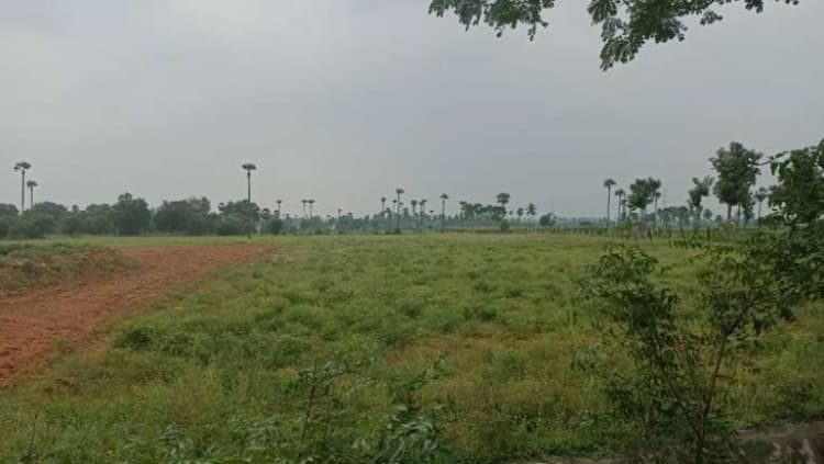 Land for sales