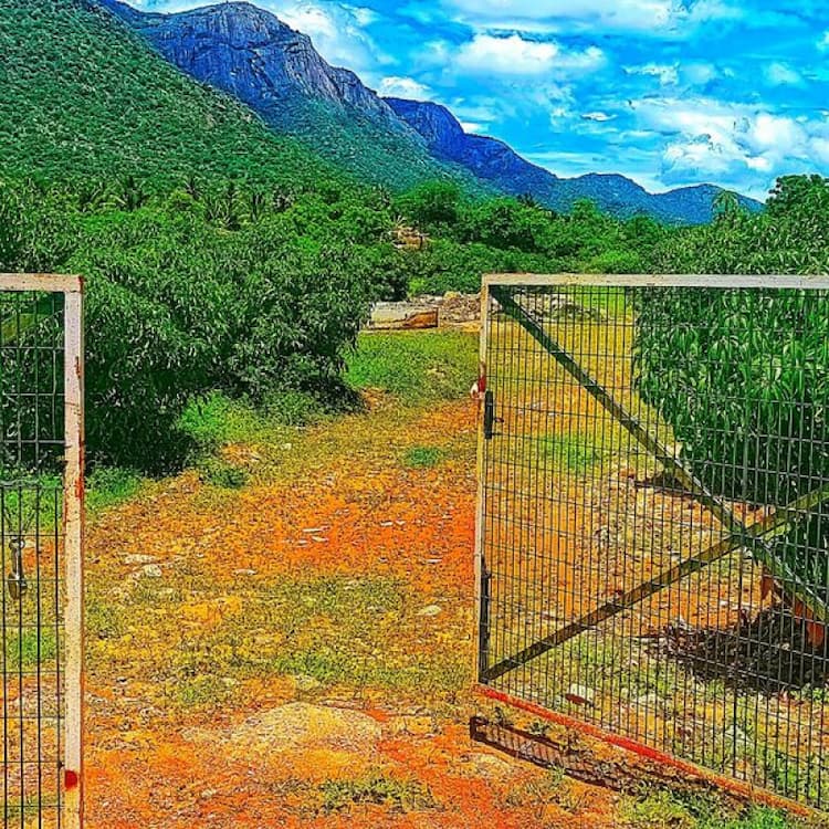 Single Property Image