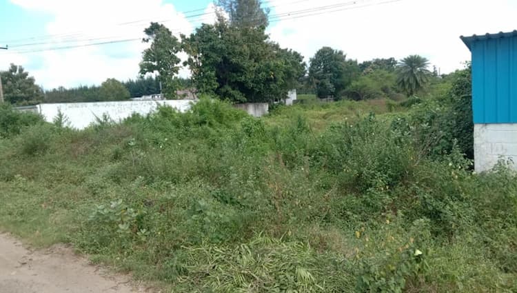 Single Property Image