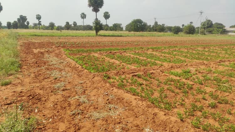 3 Acre Land for Sale