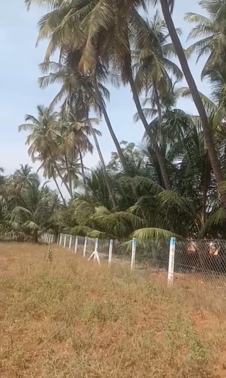 2.80 Acre Land for Sale