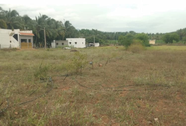 Land for sales