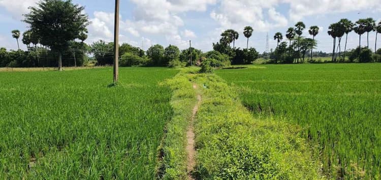 Single Property Image