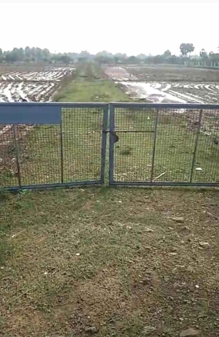 5 Acres Punjai Agriculture Land for sale