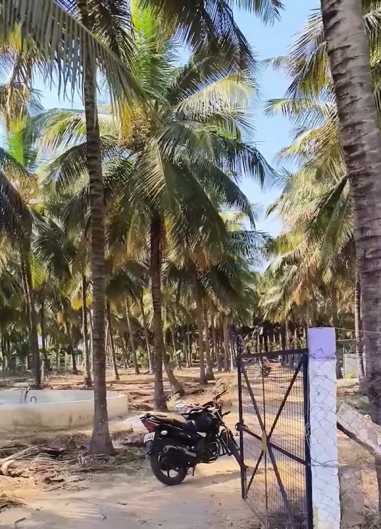 Single Property Image