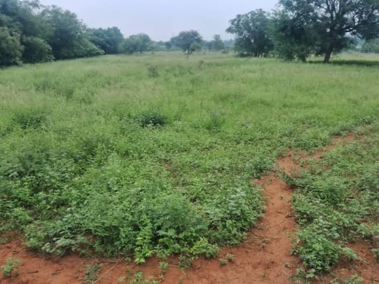 Low Budget Land for Sale