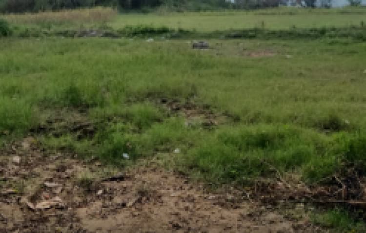 2.50 acre land for sales