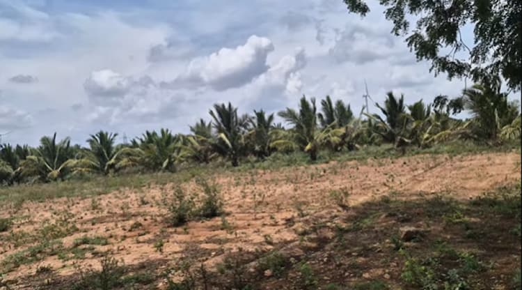 Single Property Image