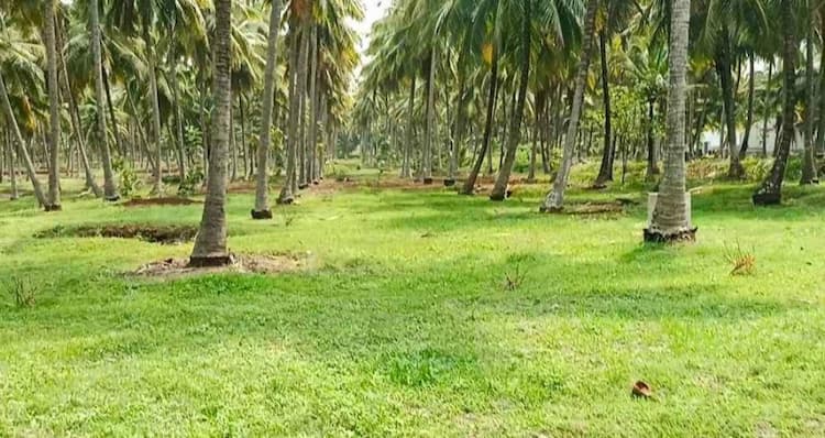 Single Property Image