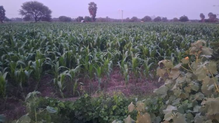 Single Property Image