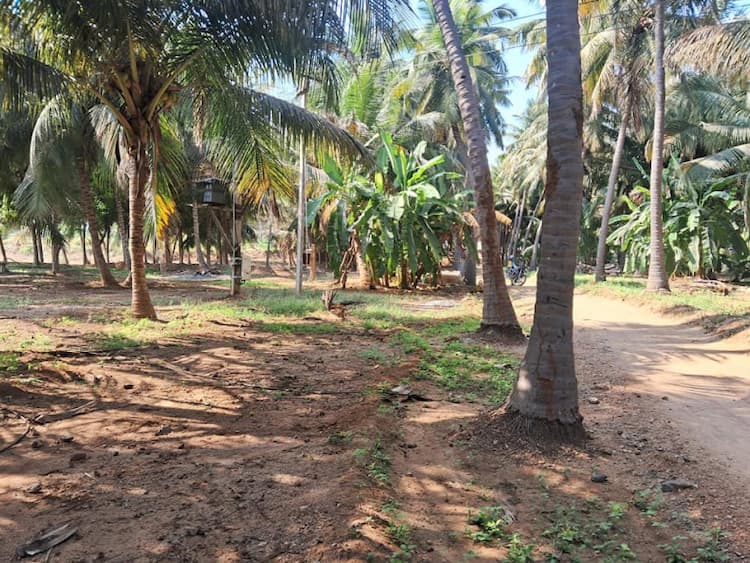 Single Property Image