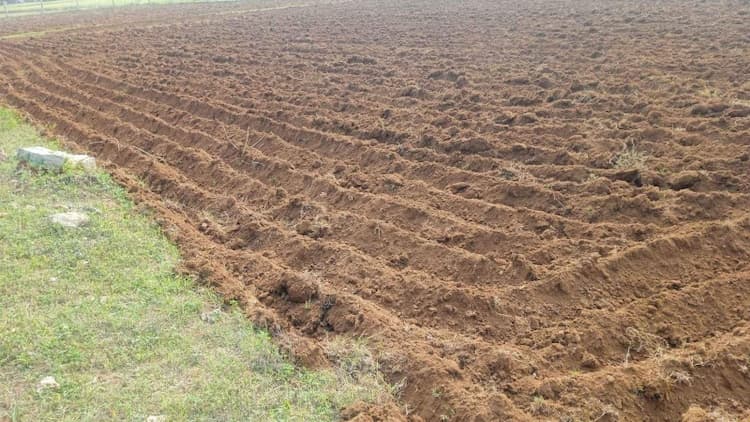 2 Acre Land for Sale