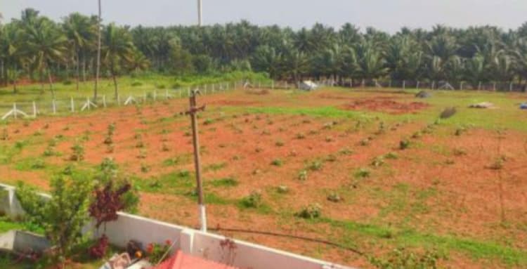 Single Property Image