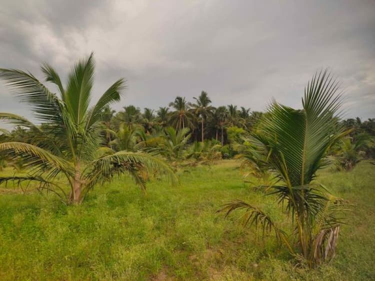 Single Property Image