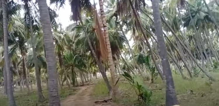 Single Property Image