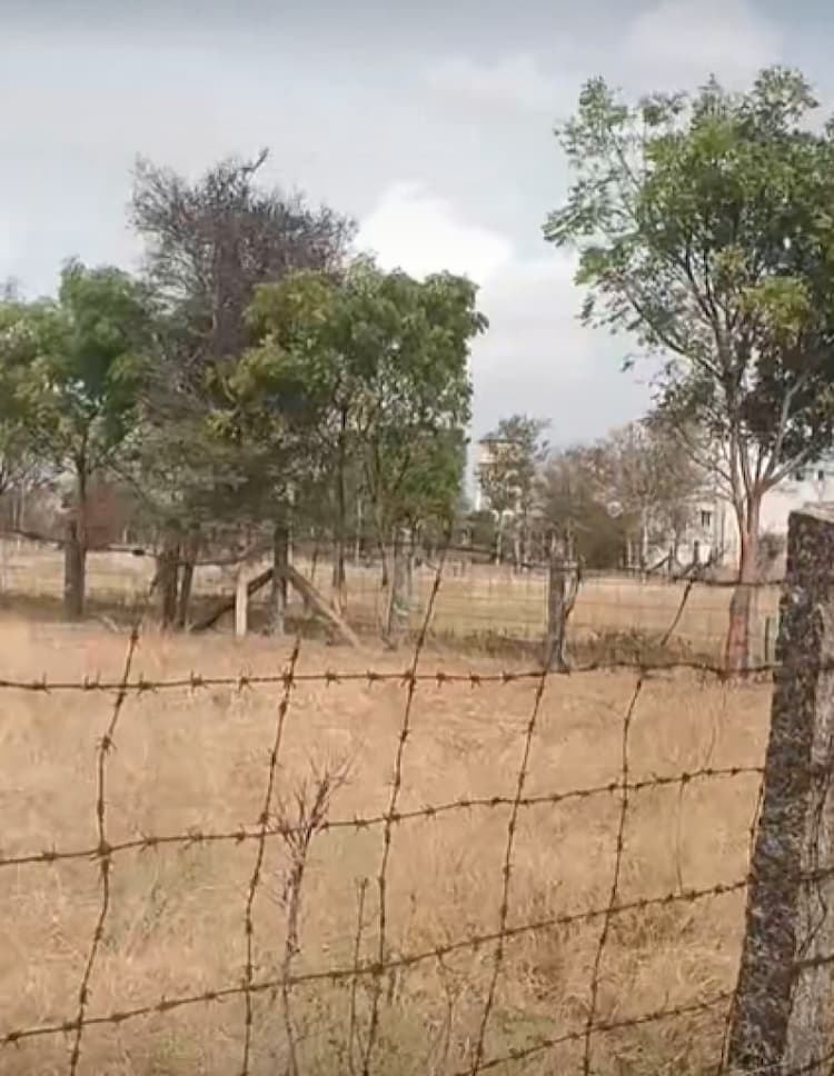 Single Property Image