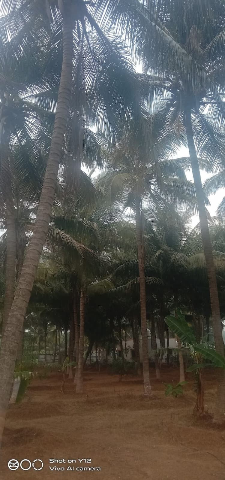 2.75 Acre Land for Sale