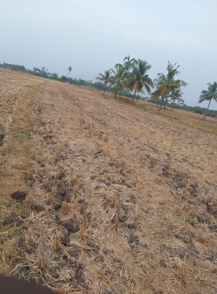 Agri Land For Sale