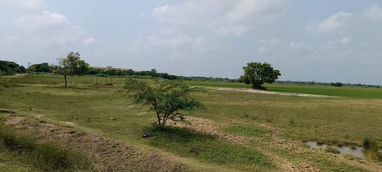 Agriculture Land For Sale