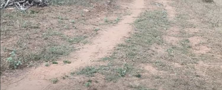 5 Acre Land for Sale