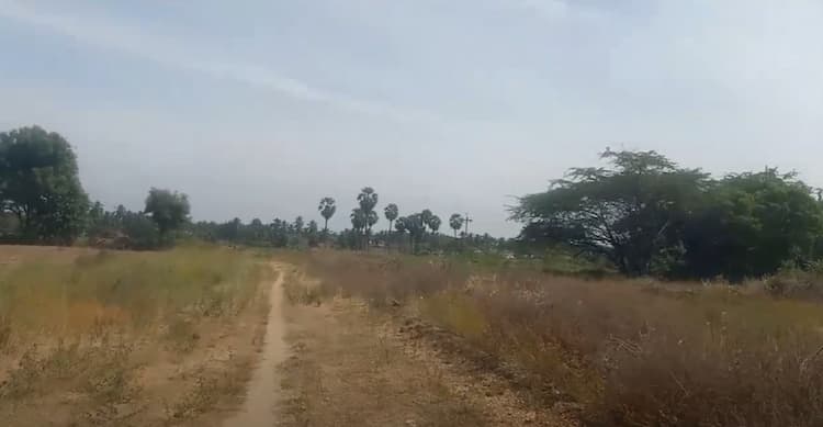 Land for sales