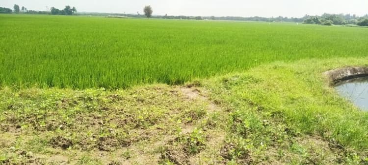 land for sale in cheyyur