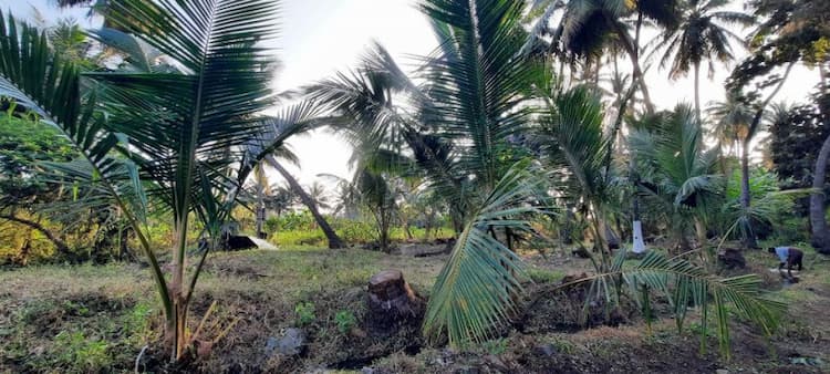 Single Property Image