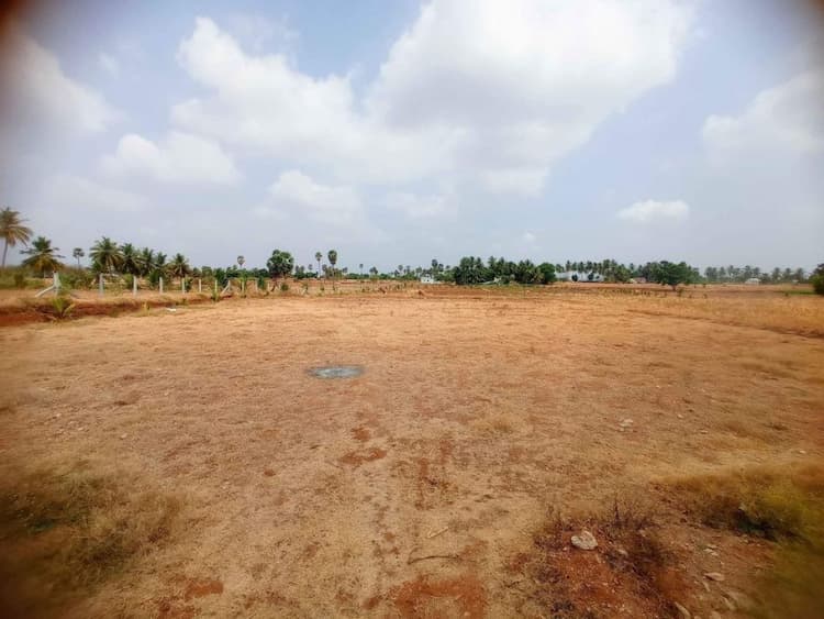 Land for sales