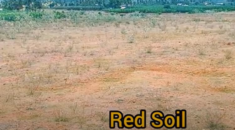 Land for sales